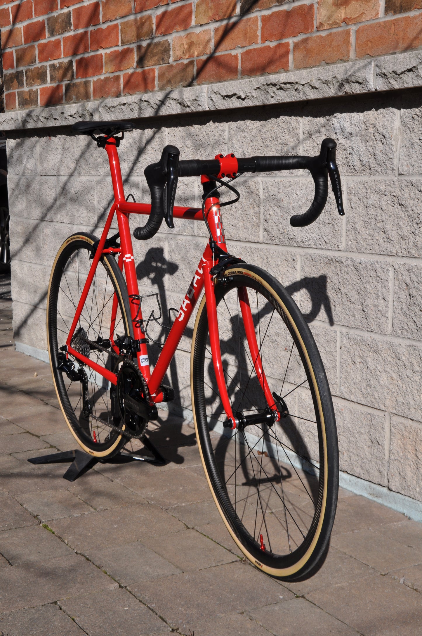 Sabali x Attune PegoRichie Frameset
