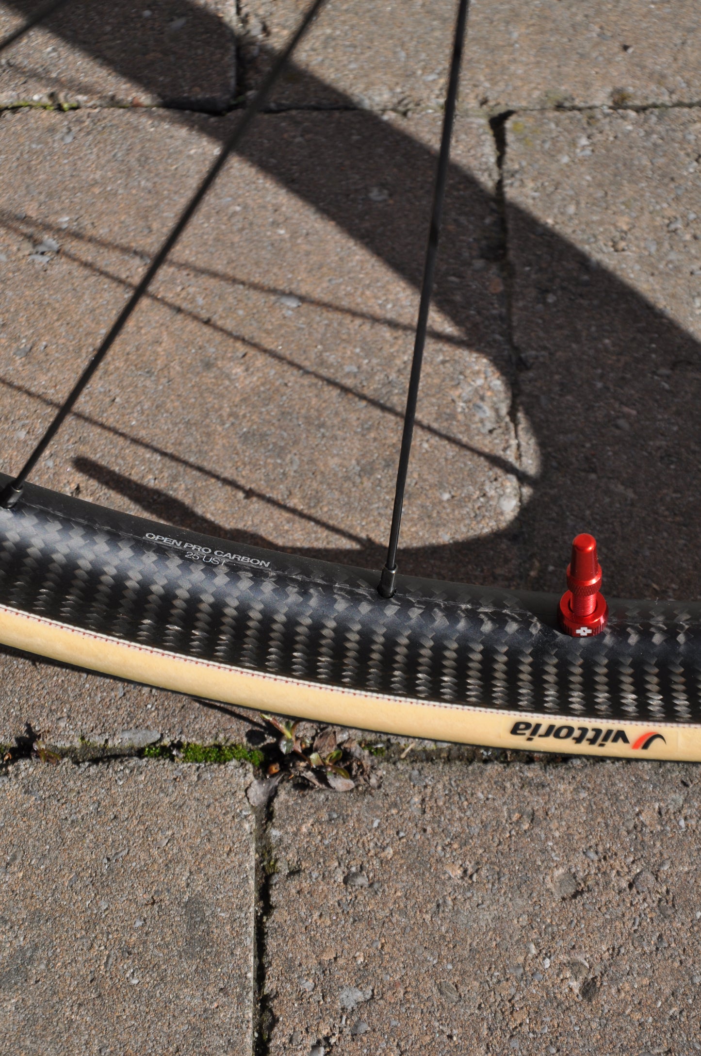 Sabali x Attune PegoRichie Frameset