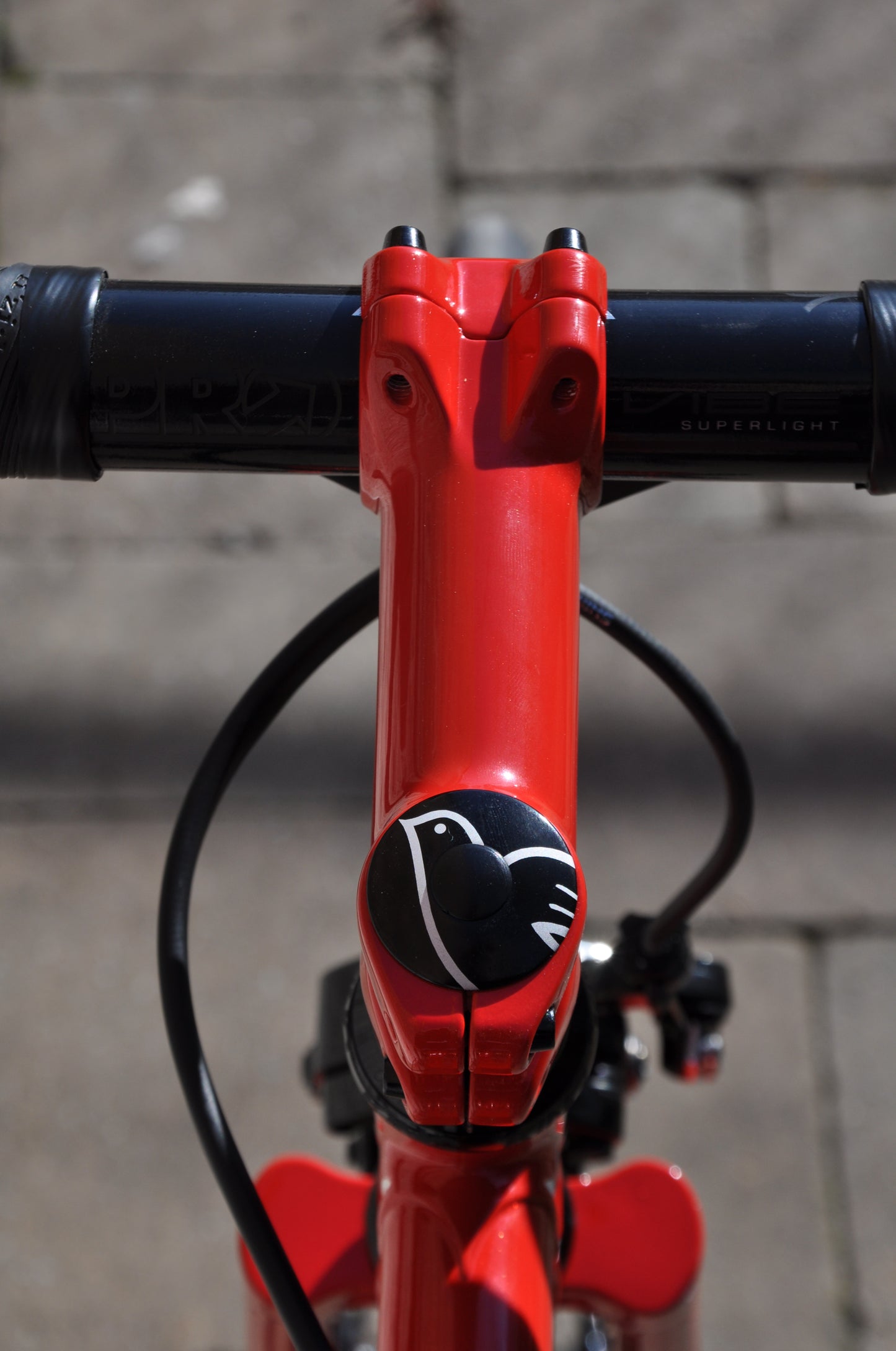 Sabali x Attune PegoRichie Frameset